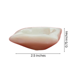 Handcrafted Floral Diya Lamp Marble Soft Stone