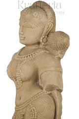 The Graceful Devi - A Sandstone Bust