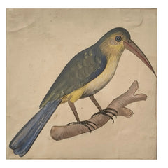 Bird of the Royal Court Miniature Painting Paintings