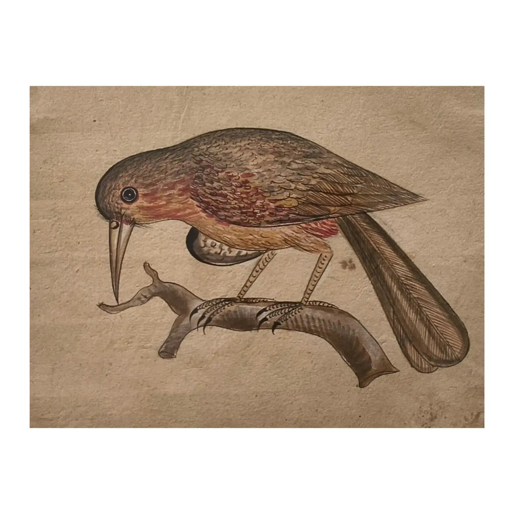 Traditional Indian Bird Miniature Painting Paintings