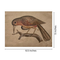 Traditional Indian Bird Miniature Painting Paintings