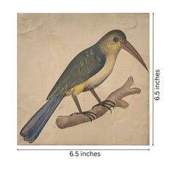 Bird of the Royal Court Miniature Painting