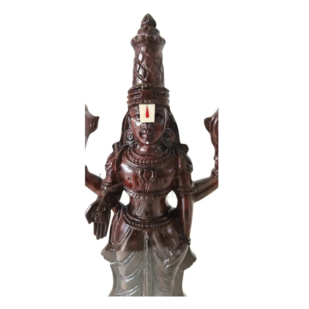 Divine Lord Venkateswara Idol Encased in Glass - Rosewood Wooden Sculpture