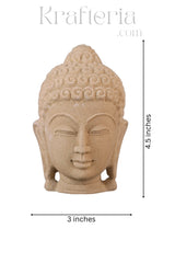 Serene Contemplation - A Sandstone Buddha Head