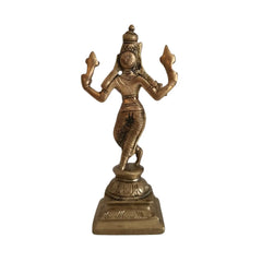 Pure Brass Dashavatara Idol Set 10 Statues) | Vishnu's Ten Avatars Murti Collection Brass Ware