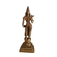 Pure Brass Dashavatara Idol Set 10 Statues) | Vishnu's Ten Avatars Murti Collection Brass Ware