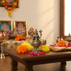 Handcrafted Brass Kurma Avatar Idol – Vishnu Tortoise Form Statue for Puja & Home Decor