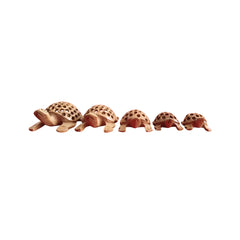 Wooden Jali Tortoise Family – Artisan Carved Traditional Home Decor Wooden Decorative