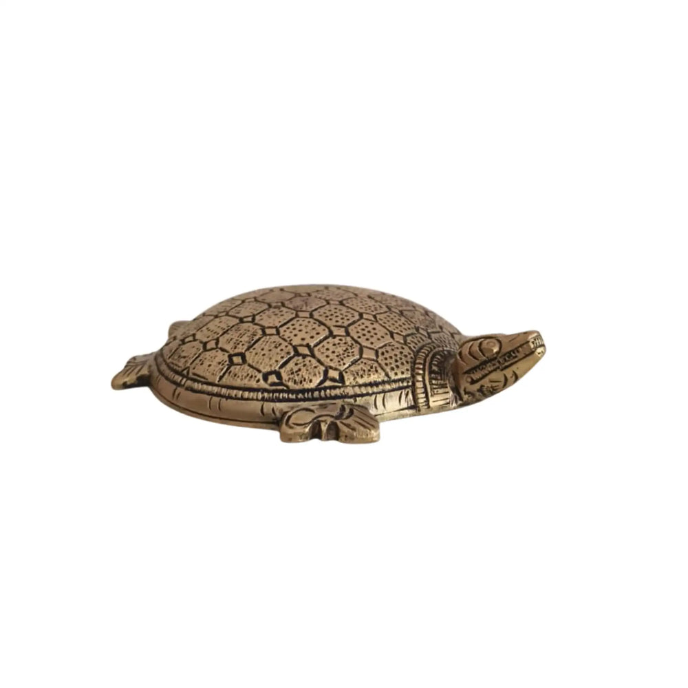 Decorative Brass Tortoise (Turtle) Showpiece Brass Ware