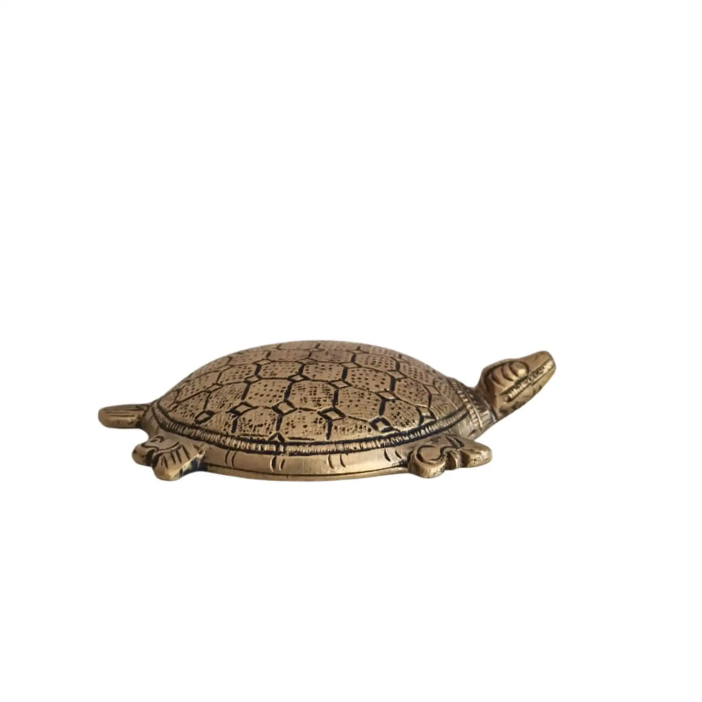 Decorative Brass Tortoise (Turtle) Showpiece Brass Ware