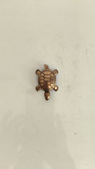 Small bronze turtle figurine with detailed shell pattern on a white background.