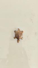 Small bronze turtle figurine with detailed shell pattern on a white background.