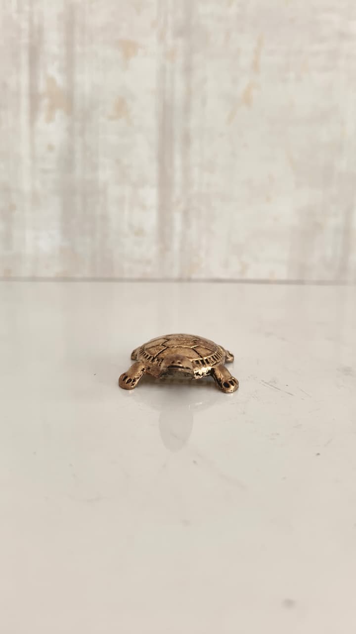 Small bronze turtle figurine with detailed shell pattern on a white background.