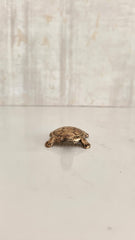 Small bronze turtle figurine with detailed shell pattern on a white background.
