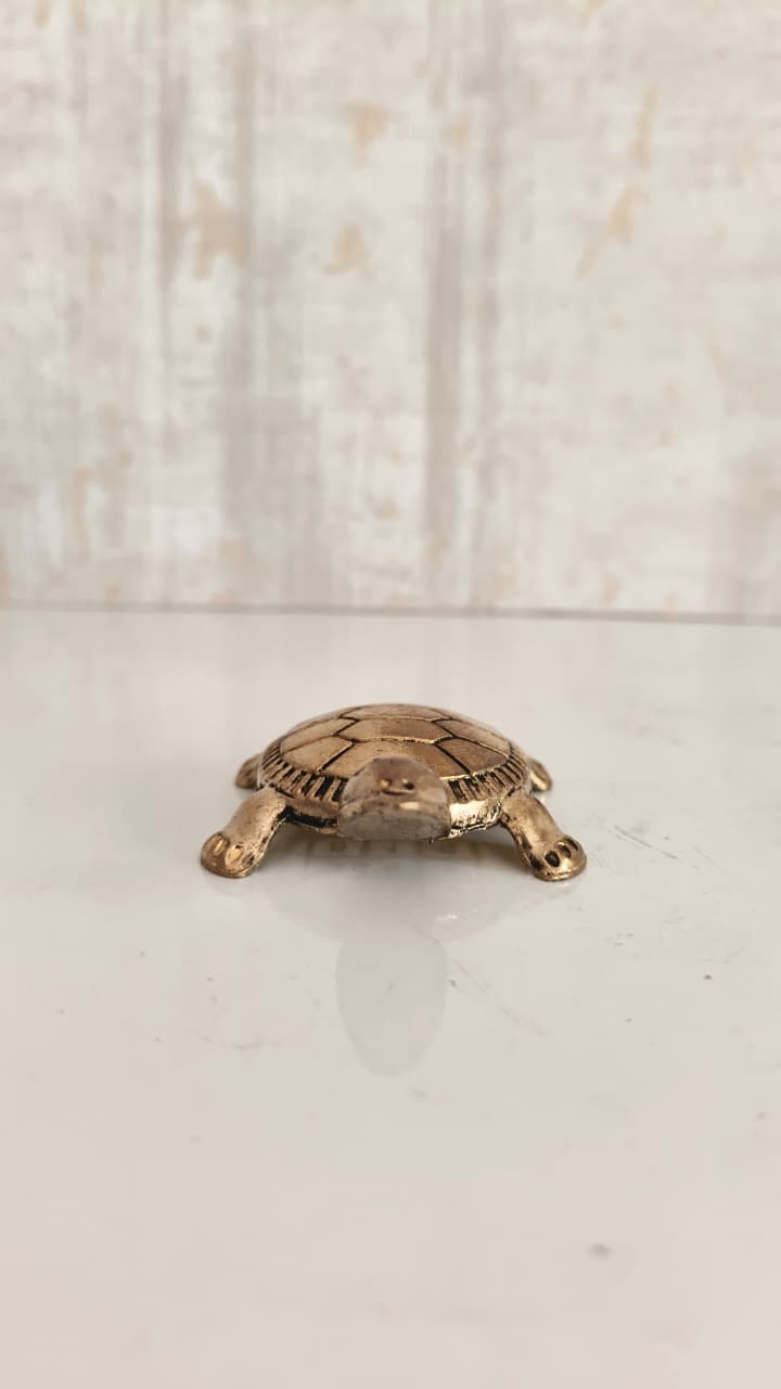 Small bronze turtle figurine with detailed shell pattern on a white background.