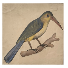 Bird of the Royal Court Miniature Painting