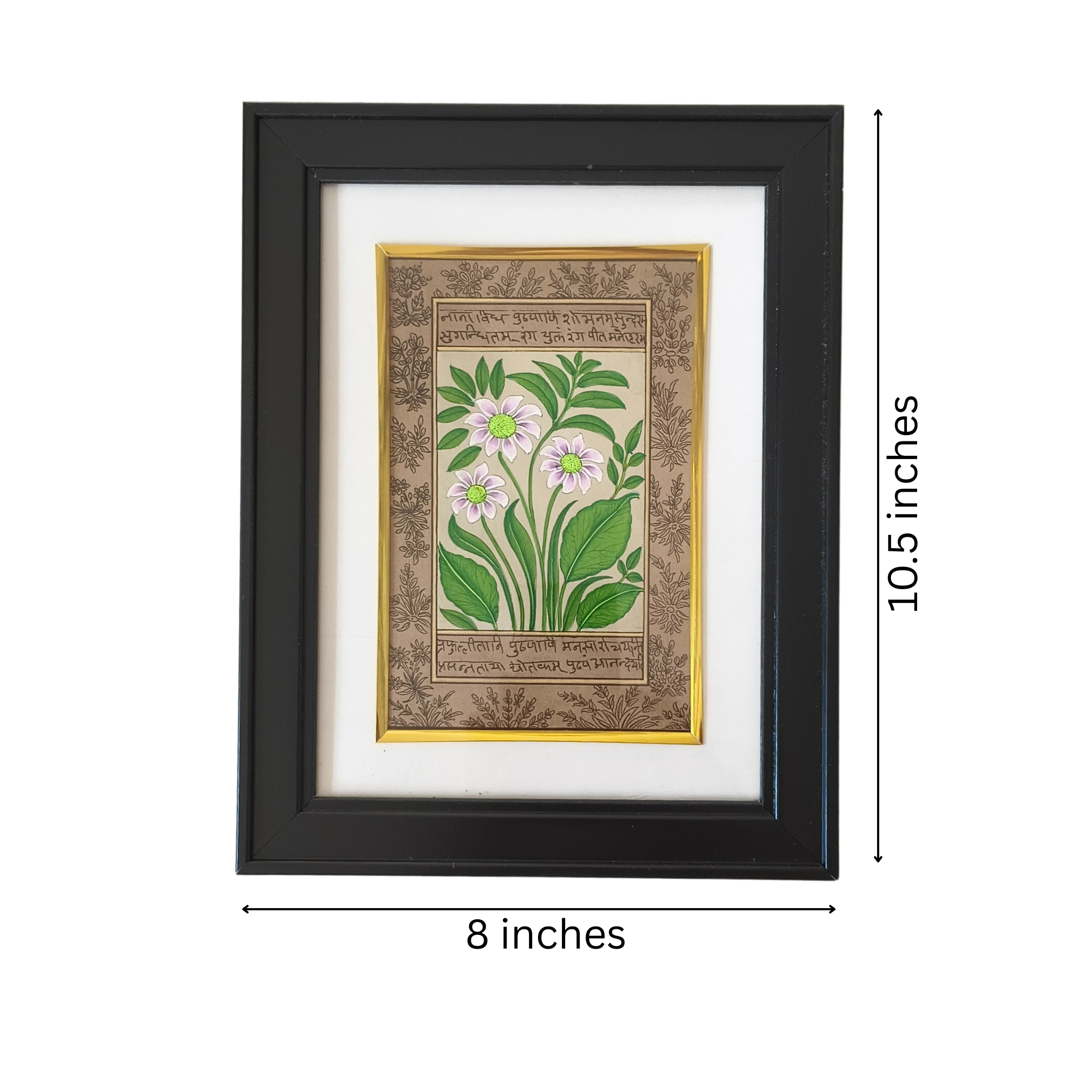 A Botanical Study in Miniature - The White-Flowered Plant