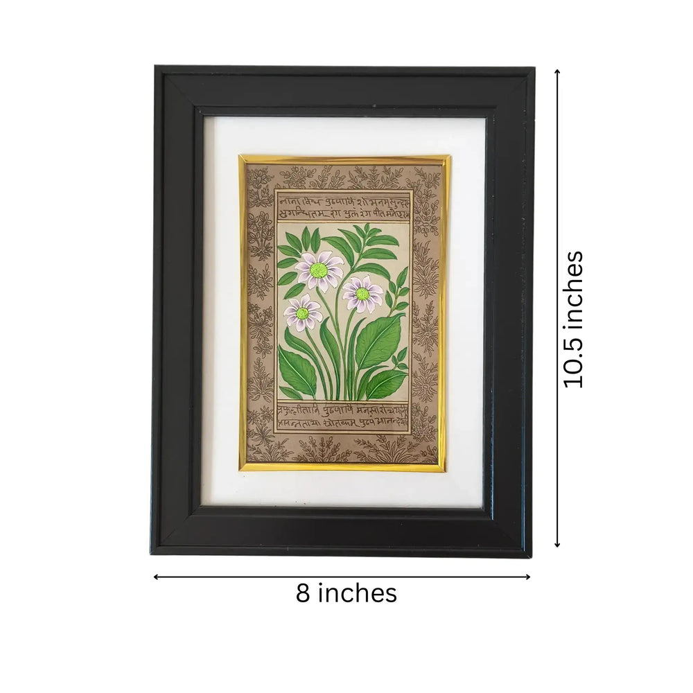 A Botanical Study in Miniature - The White-Flowered Plant   Paintings