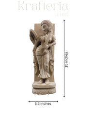 Heavenly Beauty-The Apsara’s Elegance