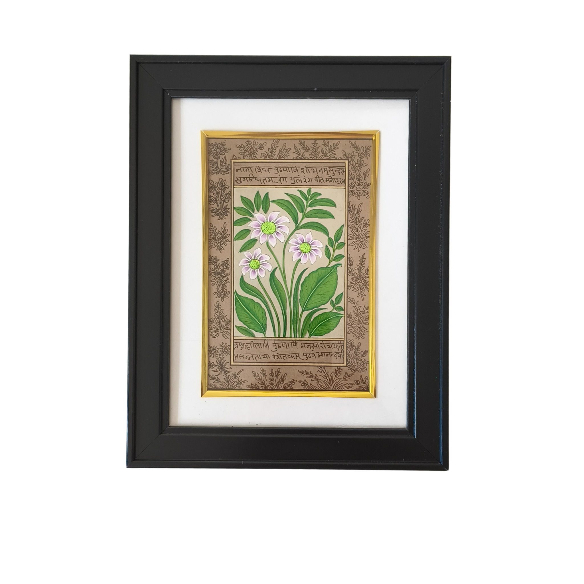 A Botanical Study in Miniature - The White-Flowered Plant