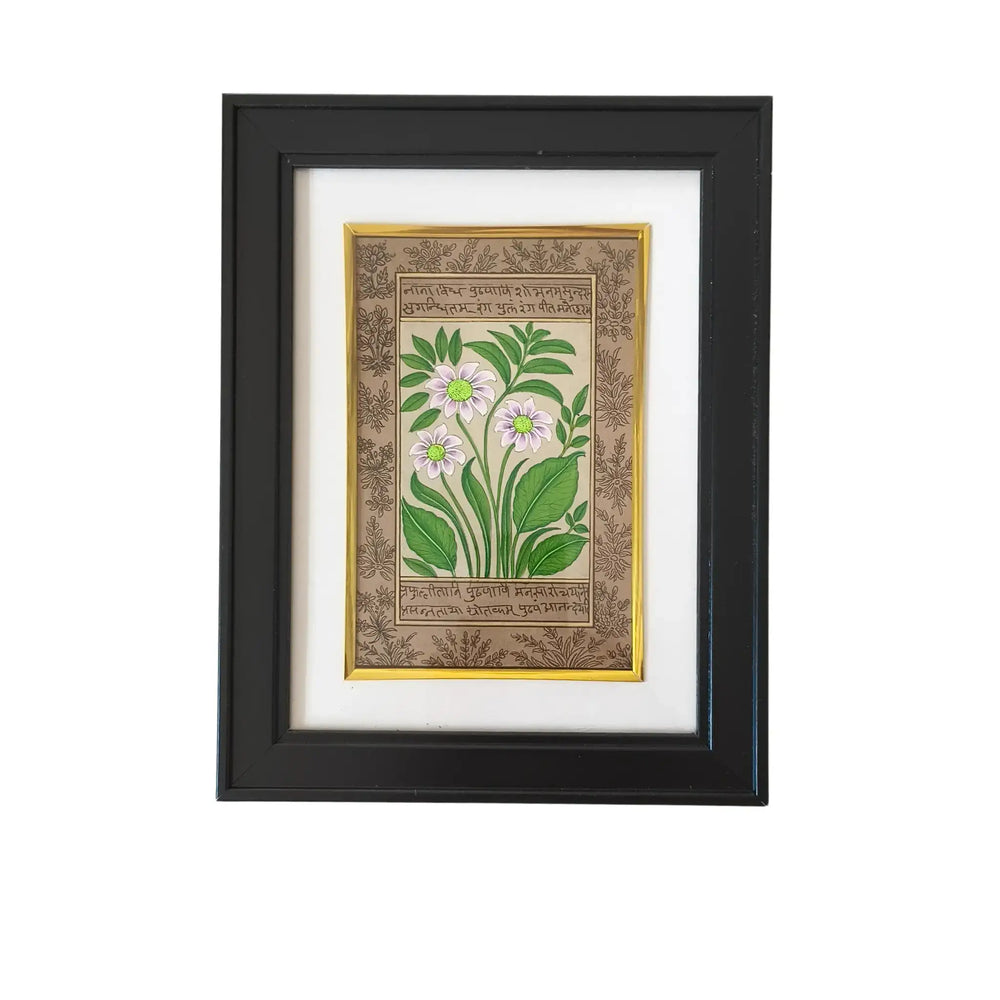 A Botanical Study in Miniature - The White-Flowered Plant   Paintings