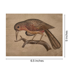 Traditional Indian Bird Miniature Painting
