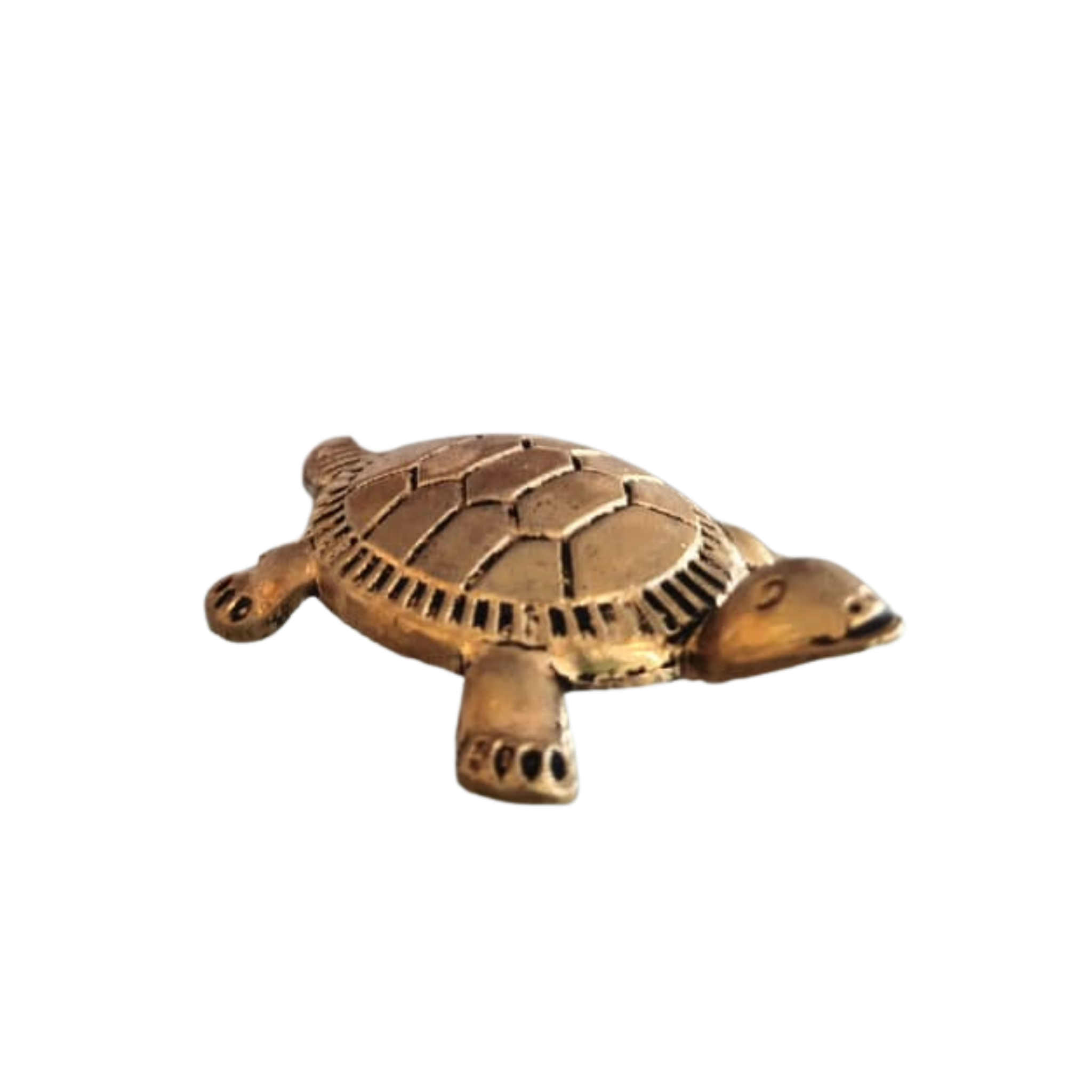 tortoise sculpture small - Decorative Metal Sculpture | Tortoise Sculpture   Brass Ware