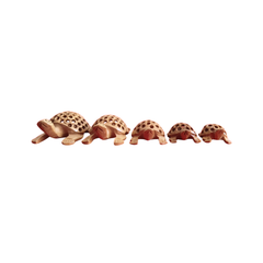 Wooden Jali Tortoise Family – Artisan Carved Traditional Home Decor