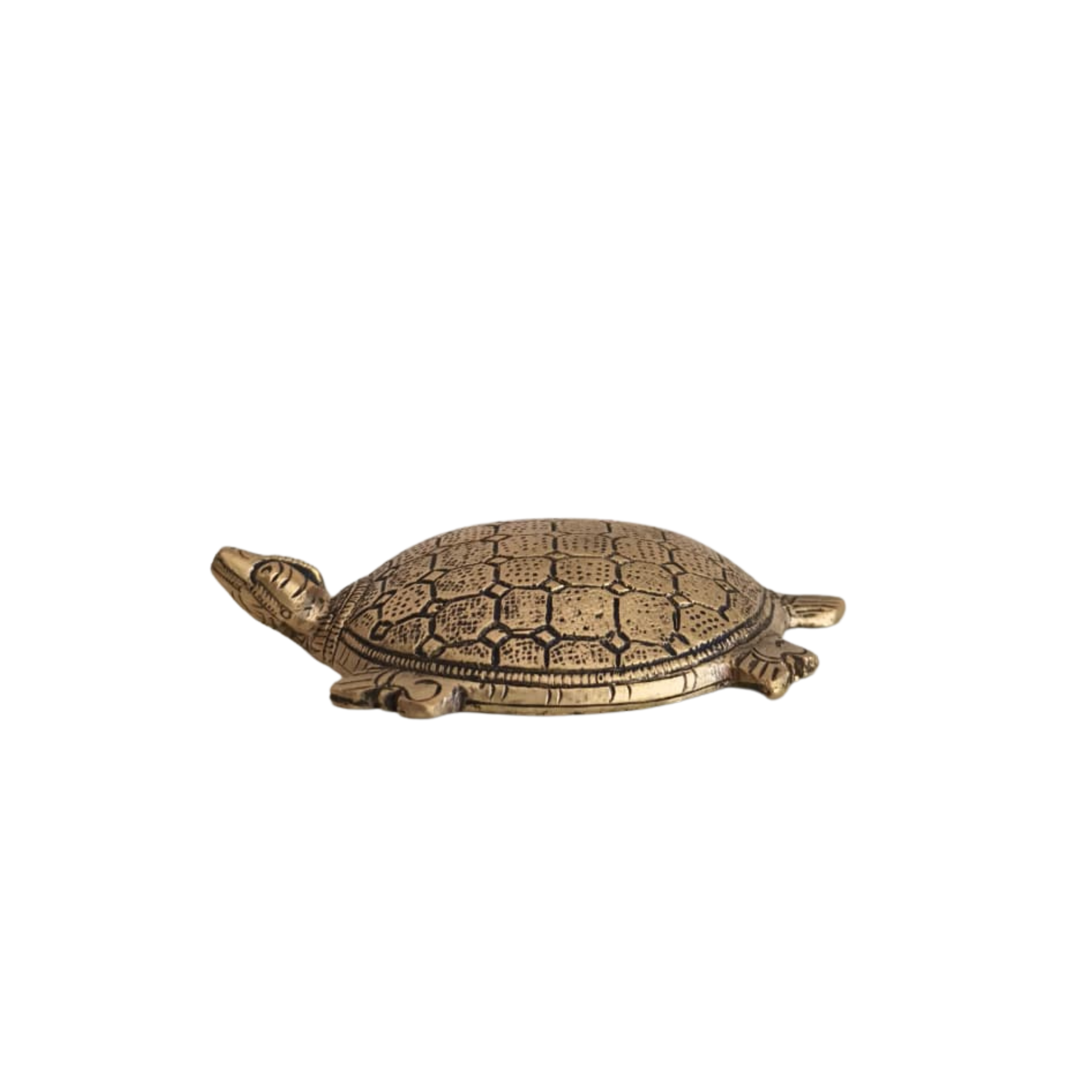 Decorative Brass Tortoise (Turtle) Showpiece