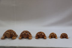 Wooden Jali Tortoise Family – Artisan Carved Traditional Home Decor