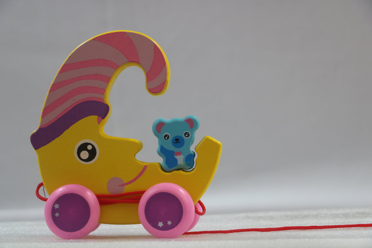 Channapatna Multi-Colour Pulling Toys – Handcrafted Wooden Fun for Kids