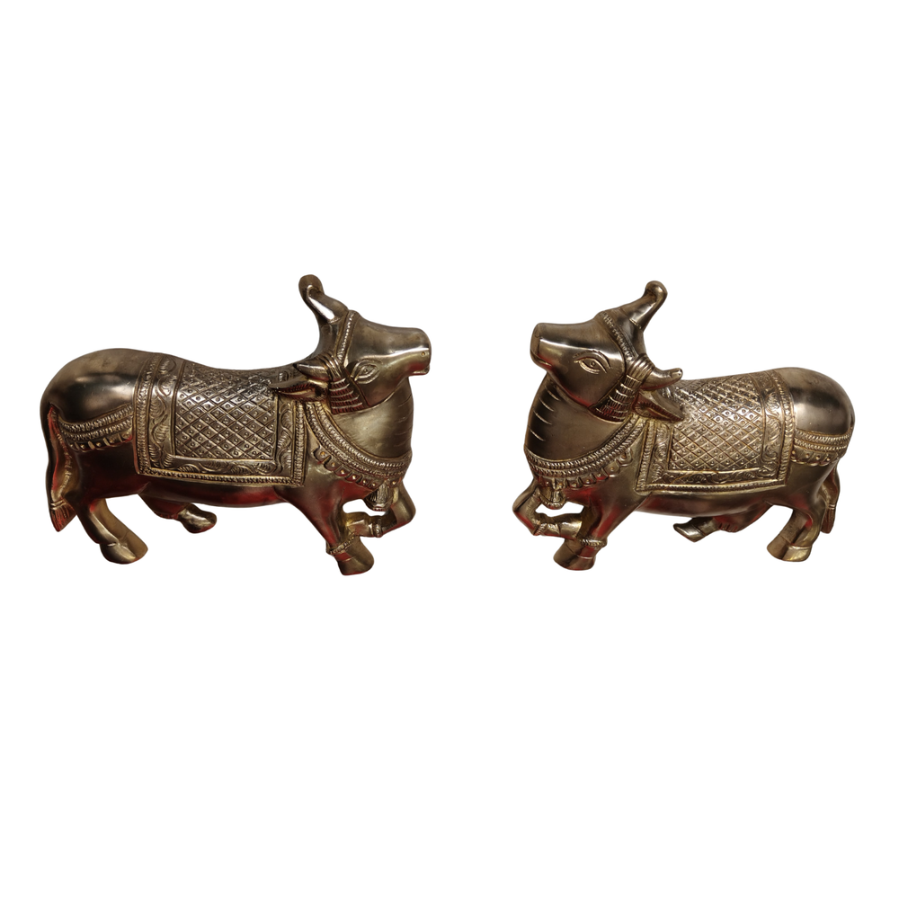 Pair of shiny brass vastu cow statues, home decor.