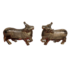 Pair of shiny brass vastu cow statues, home decor.